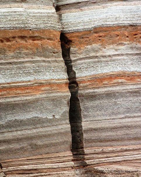 5197_96356410546_7905091_n