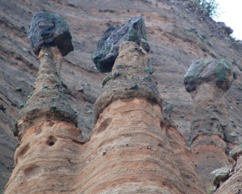 5197_96356480546_3909655_n