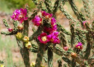 5197_96356505546_4545474_n