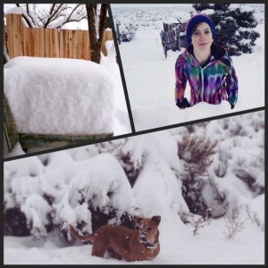 Processed with Moldiv